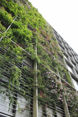 Modern bina cephesinde dikey bahçe büyüyor