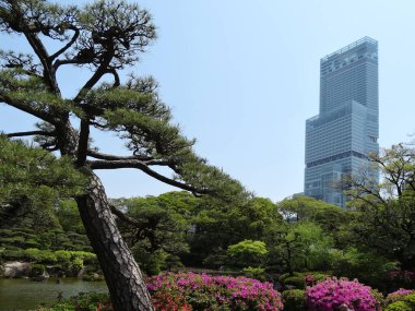 Marriott Osaka Miyako Oteli. Japonya