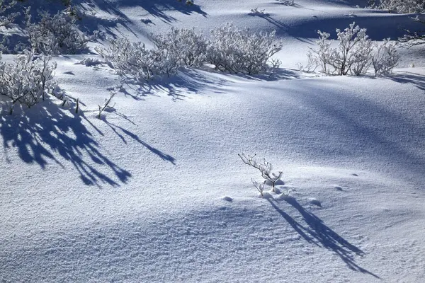雪に覆われた山の中の美しい冬の風景 — ストック写真