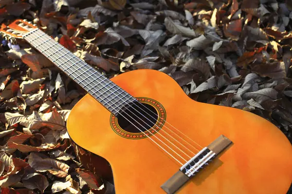 Gitara Akustyczna Jesienią Liśćmi Tle Natury — Zdjęcie stockowe