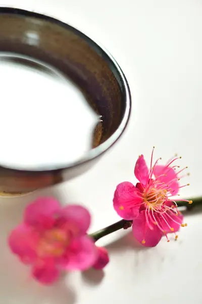Krásné Květy Třešňového Květu Vodní Mísy Bílém Pozadí — Stock fotografie