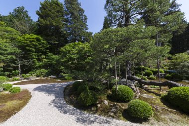 Japon yeşil bahçesinde yol 