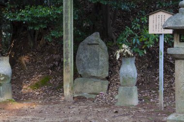 Ormandaki bir tapınağa yakın çekim