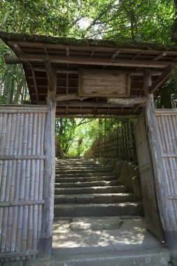 Güzel Japon Yeşil Bahçe 