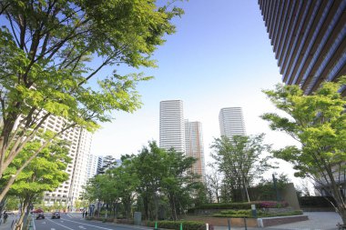 Lujiazui parkının manzarası.