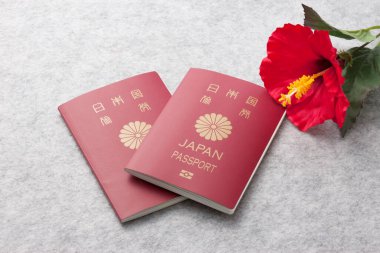 Japon pasaportu ve kırmızı sakura çiçekleri.