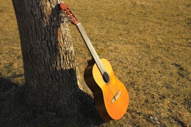 Doğanın arka planında sonbaharda ağacın yanındaki akustik gitar.