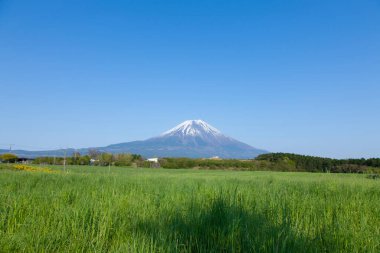 Japonya 'daki Fuji Dağı' nın güzel manzarası
