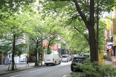 Temiz hatlar ve modern biçimler bu Japon kentsel yolu boyunca uzanan güzel binaları karakterize eder..