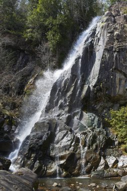 Dağdan Su Düşüyor