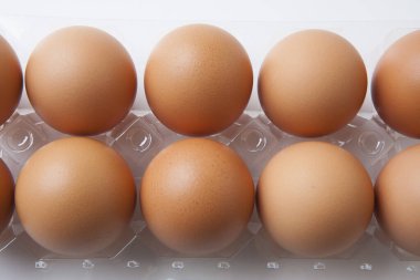 Beyaz arka planda taze tavuk yumurtası..    