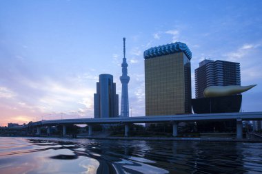 Japon şehir manzarası gündüz gözüyle görülüyor. 