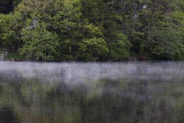 Sis içindeki güzel bir orman gölü manzarası.