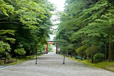 Yaz boyunca yeşil şehir parkı 