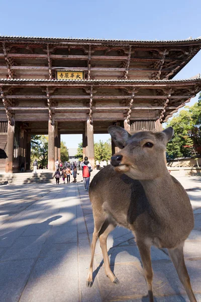 stock image Beautiful capture of an ancient Japanese shrine