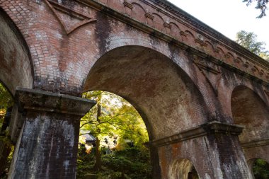 Sonbahar parkındaki bir köprünün dikey görüntüsü. 
