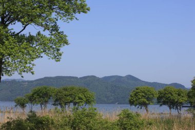 Göl manzarası ve güzel yeşil ağaçlar.       