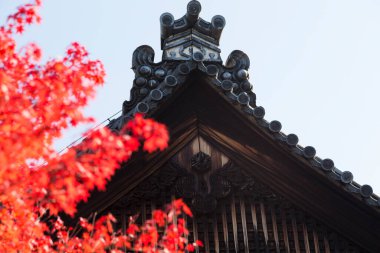 Eski bir Japon türbesinin nefes kesici sahnesi