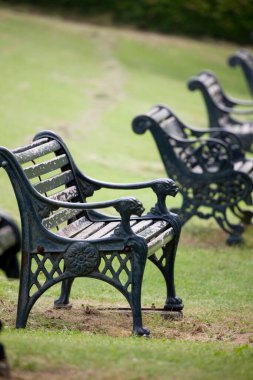 Parktaki güzel yeşil çayırlarda boş banklar