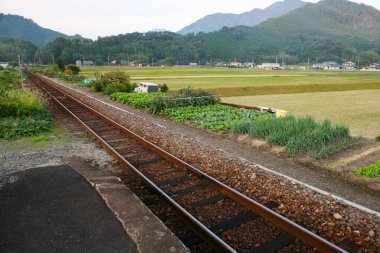 view of railroad tracks in the countryside, travel and transportation
