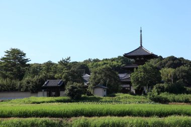 Ikaruga 'daki Hokki-ji Budist Tapınağı, Nara Bölgesi, Japonya