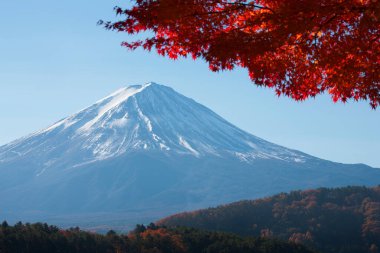 Japonya 'daki Fuji Dağı' nın doğa manzarası