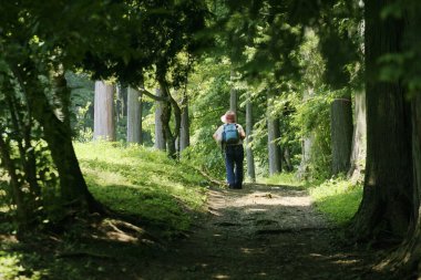 Sırt çantalı bir adam ormanda yürüyor.