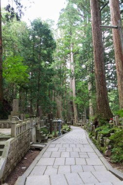  Japonya, Koyasan 'daki Okunoin antik Budist mezarlığı.