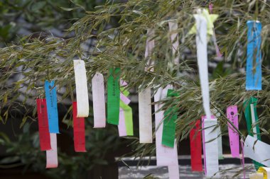 Renkli kurdelelerle süslenmiş ağaç dalları, tatil dekorasyonunun gündüz manzarası. 
