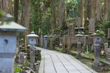  Japonya, Koyasan 'daki Okunoin antik Budist mezarlığı.