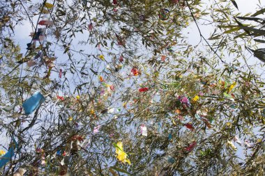 Renkli kurdelelerle süslenmiş ağaç dalları, tatil dekorasyonunun gündüz manzarası. 
