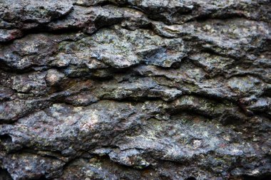 taş dokusunun arkaplanı, yakın plan
