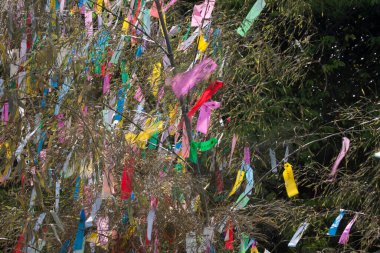 Renkli kurdelelerle süslenmiş ağaç dalları, tatil dekorasyonunun gündüz manzarası. 