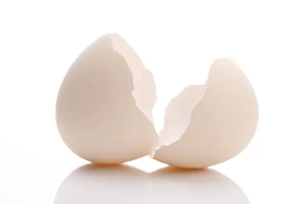 Uovo Pollo Rotto Isolato Sfondo Bianco Vicino — Foto Stock