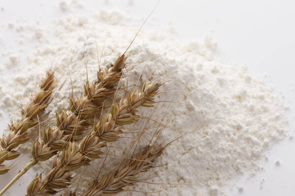 flour with wheat ears, conceptual image