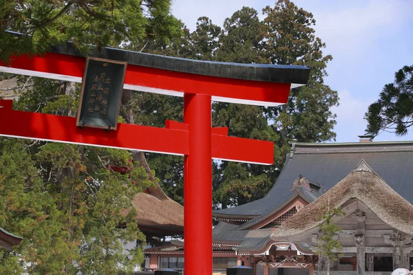 Torii Cancello Tradizionale Giapponese — Foto Stock