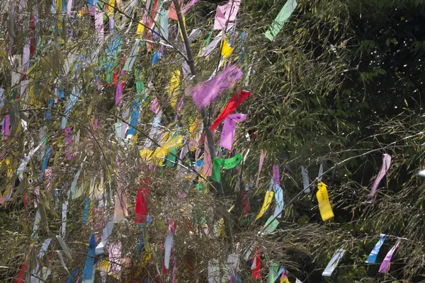 Renkli kurdelelerle süslenmiş ağaç dalları, tatil dekorasyonunun gündüz manzarası. 