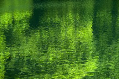 yansımalı ve dalgalı su arkaplanı