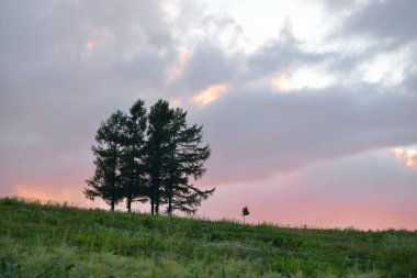 Gün batımında güzel tarım alanının manzaralı görüntüsü