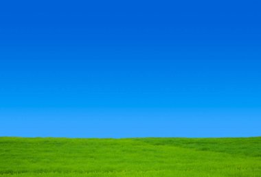 alan arka plan mavi gökyüzü ve yeşil çimen.                 