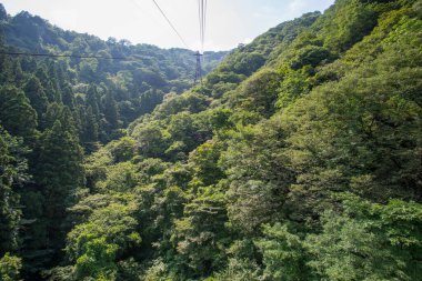 Yeşil dağ ormanının üzerinden geçen kablo araba.