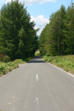 Yeşil Ağaçlı Ülke Yolu