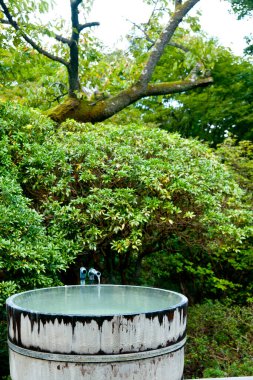 Yaz aylarında Japon bahçesi