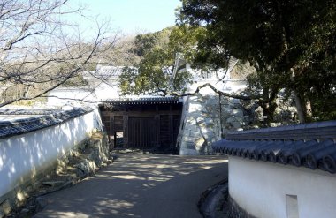 Güzel bir Asya parkı, sakin bir yaz gününün tadını çıkarır..
