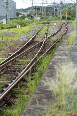 Yazın dağlarda raylı demiryolu.