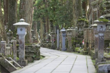  Japonya, Koyasan 'daki Okunoin antik Budist mezarlığı.