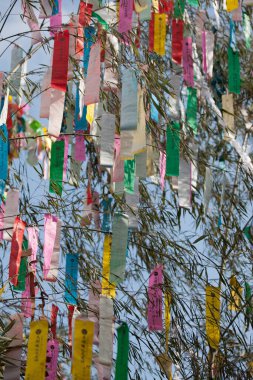 Renkli kurdelelerle süslenmiş ağaç dalları, tatil dekorasyonunun gündüz manzarası. 