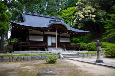 Güzel Japon tapınağı, Budizm konsepti