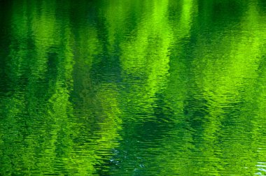 yansımalı ve dalgalı su arkaplanı