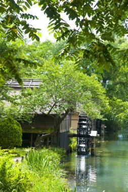 Nehir kenarındaki binaların arka planında orman manzarası var..